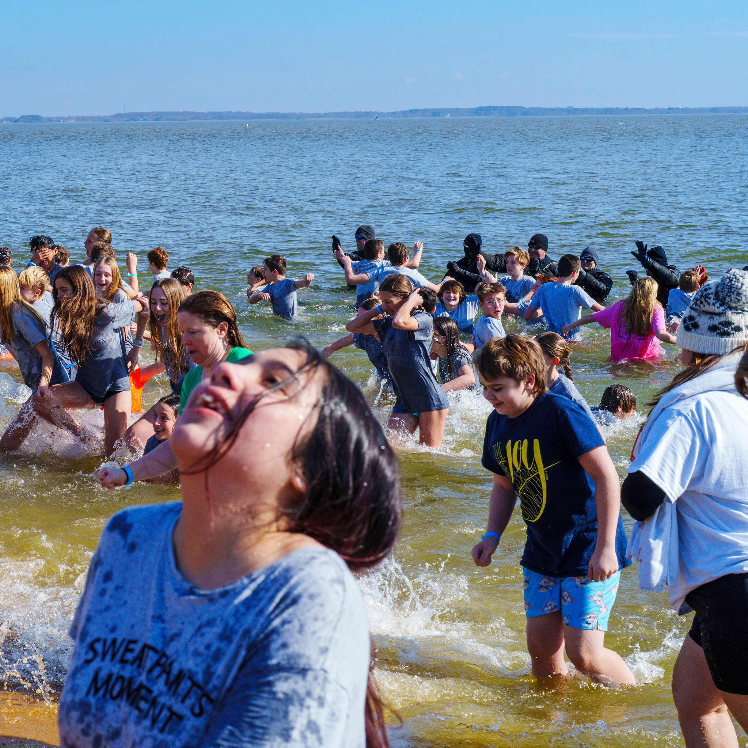 Polar Bear Plunge